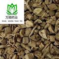 甜川牛膝選段 質(zhì)量好 價格低 產(chǎn)地直銷  產(chǎn)地 四川省