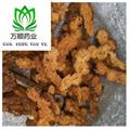 精品東北炒蒼術(shù)大統(tǒng)片 質(zhì)量好 價(jià)格低 產(chǎn)地直銷  產(chǎn)地 吉林省