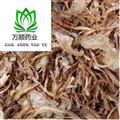 精品低硫當(dāng)歸中統(tǒng)片 質(zhì)量好 價(jià)格低 產(chǎn)地直銷  產(chǎn)地 甘肅省
