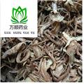 精品無硫磺當(dāng)歸統(tǒng)片 質(zhì)量好 價(jià)格低 產(chǎn)地直銷  產(chǎn)地 甘肅省