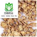 精品河北防風(fēng)大統(tǒng)片 質(zhì)量好 價(jià)格低產(chǎn)地直銷  產(chǎn)地 河北省