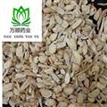 精品小黃芪  質(zhì)量好 價格低 產(chǎn)地直銷   產(chǎn)地 甘肅省