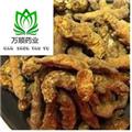优质炒僵蚕选货 质量好 价格低 产地直销  产地 四川省