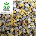 野菊花選貨 質(zhì)量好價格低  產(chǎn)地 山東省