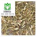 精品荊芥選貨 質(zhì)量好 價(jià)格低 產(chǎn)地直銷   產(chǎn)地 河北省