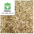 精品金銀花白花好統(tǒng)貨 質(zhì)量好 價格低 產(chǎn)地直銷  產(chǎn)地 山東省