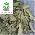羅布麻葉統(tǒng)貨 質(zhì)量好 價格低 產(chǎn)地直銷  產(chǎn)地 新疆維吾爾自治區(qū)