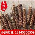 夏枯球 夏枯球统货 产地 河南省