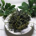 【满298元包邮】绞股蓝 绞股蓝茶龙须绞股蓝 产地 陕西省安康市平利县  250克一袋