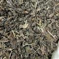 猫爪草 野生猫爪草统货 产地 安徽省