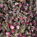 玫瑰花 金邊玫瑰 產(chǎn)地 云南省