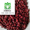 辽五味子精选货净货 质量好 价格低  产地 辽宁省