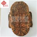 龜板 制龜板 統(tǒng) 國藥堂 專注品質(zhì) 產(chǎn)地 廣東省