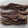 當(dāng)歸 當(dāng)歸個 精品無硫磺當(dāng)歸個 一個50/100克 新貨 無蟲蛀 產(chǎn)地 甘肅省