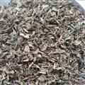 仙鶴草 仙鶴草統(tǒng)貨 產(chǎn)地 安徽省