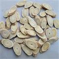 黄芪 大片 1.2-1.5cm产地 甘肃省陇南市宕昌县