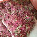 玫瑰花 玫瑰花碎瓣 0.6筛以下 产地 甘肃省