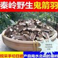 【新貨】秦嶺野生鬼箭羽手切小段 無硫日曬500g
