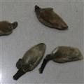 辛夷花，河南一級統(tǒng)貨，庫存5000可售