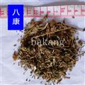 香薷 统 