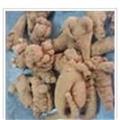 《滿198包郵》三七 三七120頭 產(chǎn)地 云南省