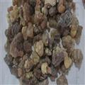 制乳香 炒乳香 精選乳香 好統(tǒng)貨 今年新貨 無雜質(zhì) 春節(jié)回饋客戶 產(chǎn)地 海外