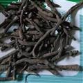 《滿198包郵》仙茅  進(jìn)口仙茅統(tǒng)貨  產(chǎn)地 海外