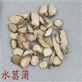 《滿198包郵》水菖蒲  選 質(zhì)量保證 產(chǎn)地 江西省