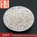 草民甄選魚(yú)腦石 石首魚(yú)頭石 石首骨 正品黃魚(yú)石 實(shí)物如圖 專營(yíng)冷備量大從優(yōu)