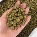 小麗百草行石斛 水草楓斗 水草石斛  