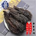 新疆紫草 新疆软紫草选个 产地 新疆维吾尔自治区