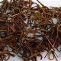 鉤藤 鉤藤段40-50% 今年新貨  產(chǎn)地 貴州省