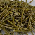 小丽百草行铁皮石斛节子  浙江雁荡山  