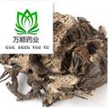 優(yōu)質(zhì)升麻選貨 質(zhì)量好 價格低  產(chǎn)地 黑龍江省