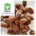 阳春壳砂仁炕干选货 质量好 价格低  产地 云南省