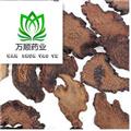 生鎖陽(yáng)中選片  質(zhì)量好 價(jià)格低  產(chǎn)地 甘肅省