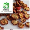 药用山楂选货 质量好 价格低  产地 山东省