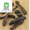 水蛭 大水蛭清水大統(tǒng)貨 質(zhì)量好 價(jià)格低 產(chǎn)地 山東省