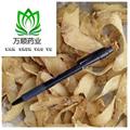 无硫磺天麻片选片 质量好 价格低  产地 贵州省