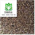 菟絲子 寧夏菟絲子水洗凈貨 質(zhì)量好 價(jià)格低  產(chǎn)地 寧夏回族自治區(qū)