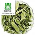 茶用甜葉菊選貨 質(zhì)量好 價(jià)格低  產(chǎn)地 安徽省