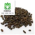 五靈脂 五靈脂米 質(zhì)量好 價格低 產(chǎn)地 山西省