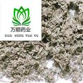 茵陈 绵茵陈灰白色统段 质量好 价格低 产地 甘肃省