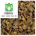 元胡  延胡索選片 質(zhì)量好 價(jià)格低  產(chǎn)地 浙江省