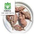 竹花 竹黃選貨 質(zhì)量好 價(jià)格低 產(chǎn)地 浙江省