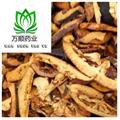 枳殼 選裝江西炒枳殼大片 質(zhì)量好 價(jià)格低  產(chǎn)地 江西省