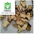 豬苓 豬屎苓選片 質(zhì)量好 價(jià)格低  產(chǎn)地 吉林省