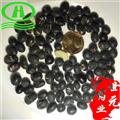 世元藥業(yè) 烏豆  大粒綠茬 黑豆 枝仔豆 大菽 黑大豆