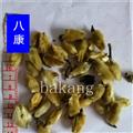 辛夷 統(tǒng) 毛桃