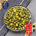 胎菊 杭白菊胎菊選貨 產(chǎn)地 浙江省